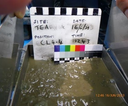 cl 4 4 grab 1 smallb