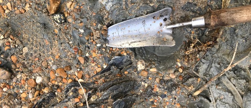 mudclifffacetrowellong