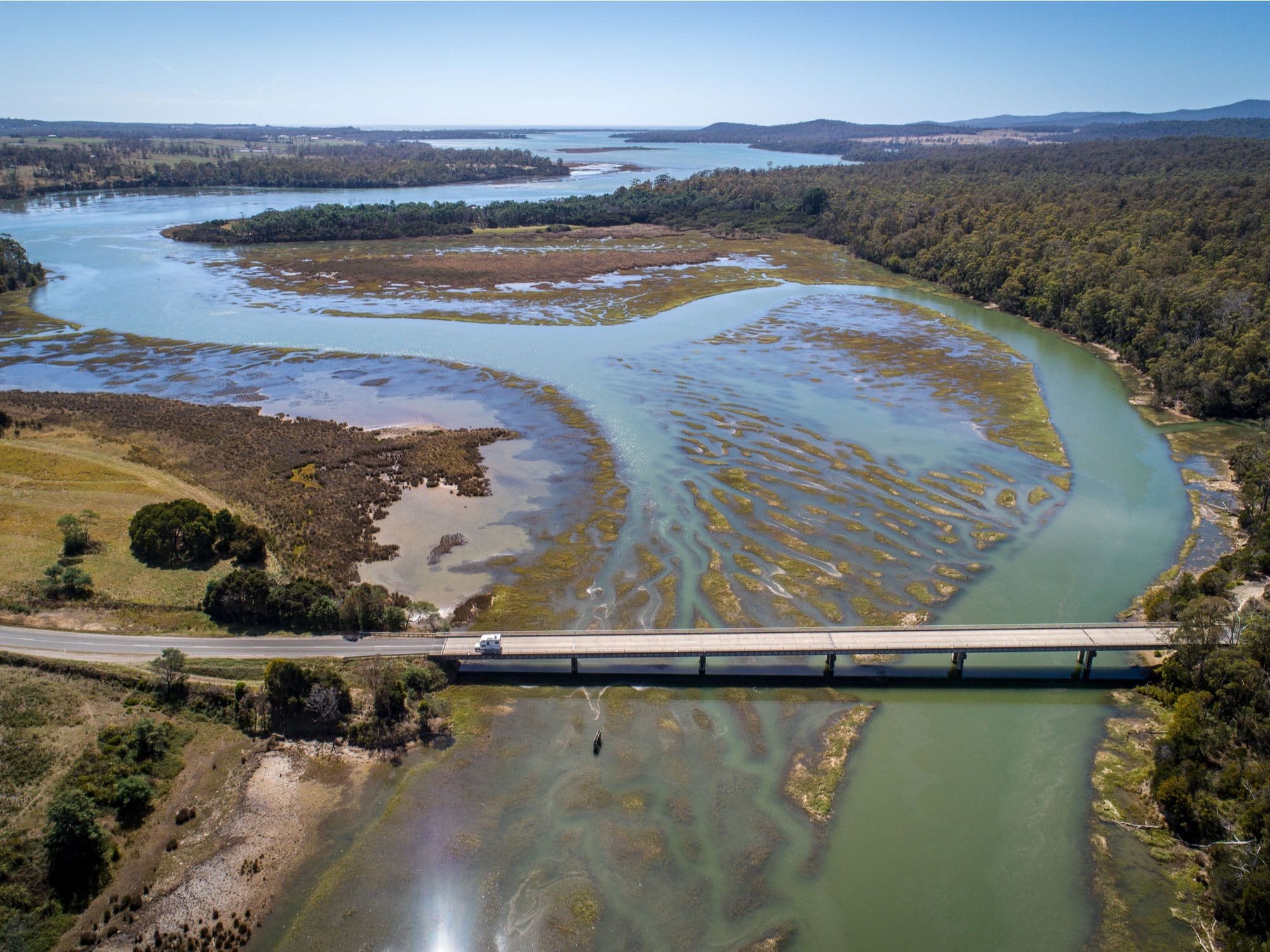 muddyenvironments coasts(5)