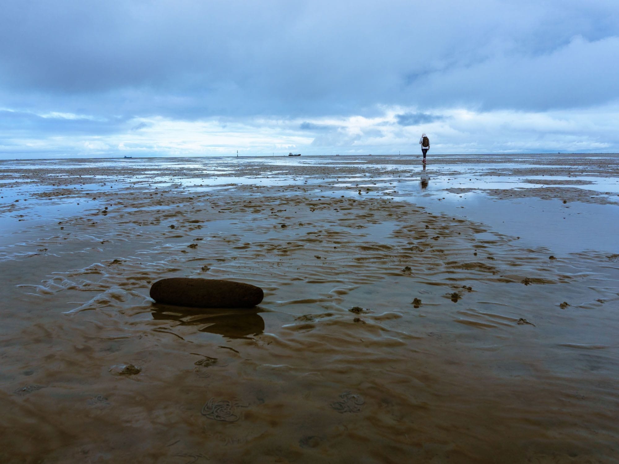 muddyenvironments mudflats(26)