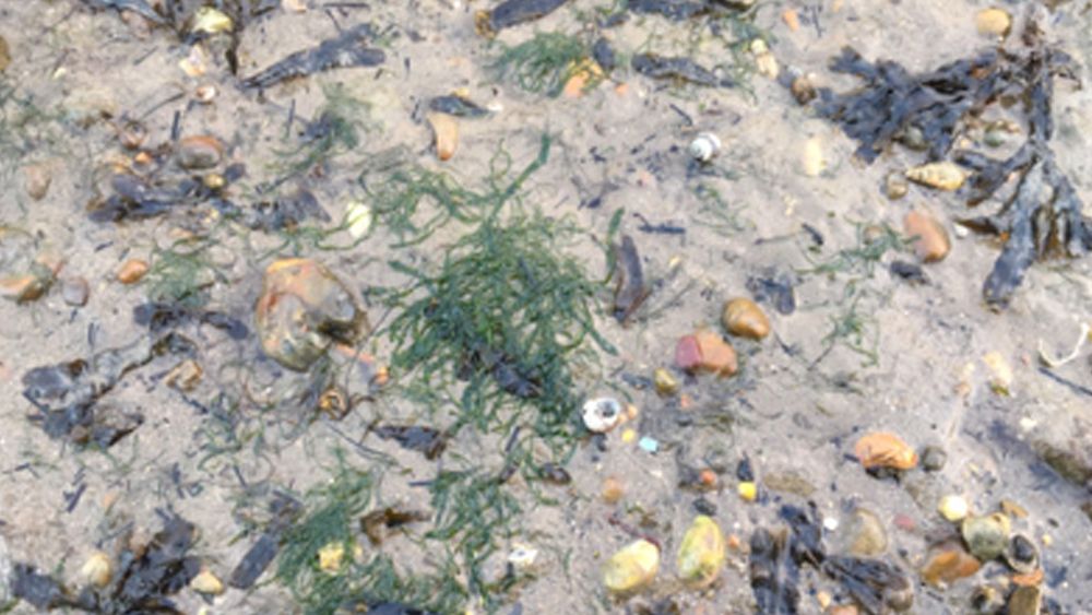 page 5 placeholder2(14)