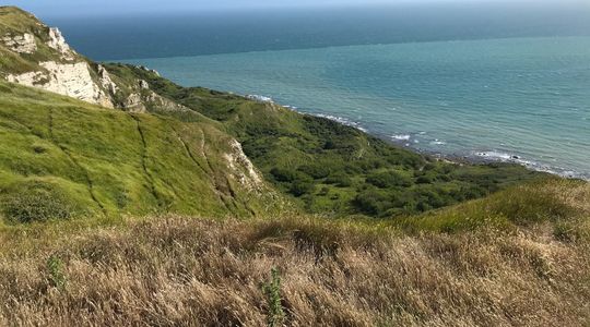 Rofiplumeringstead 9842