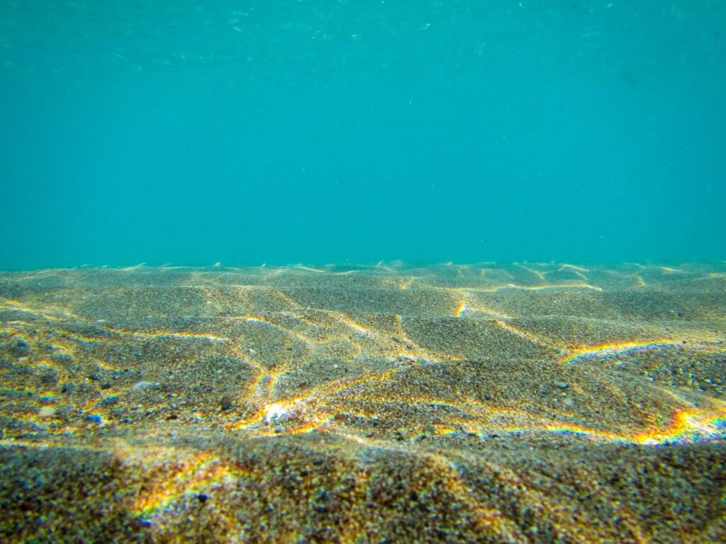 seabed