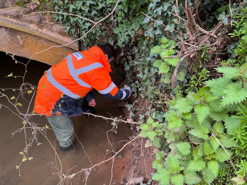 wellington sampling(3)